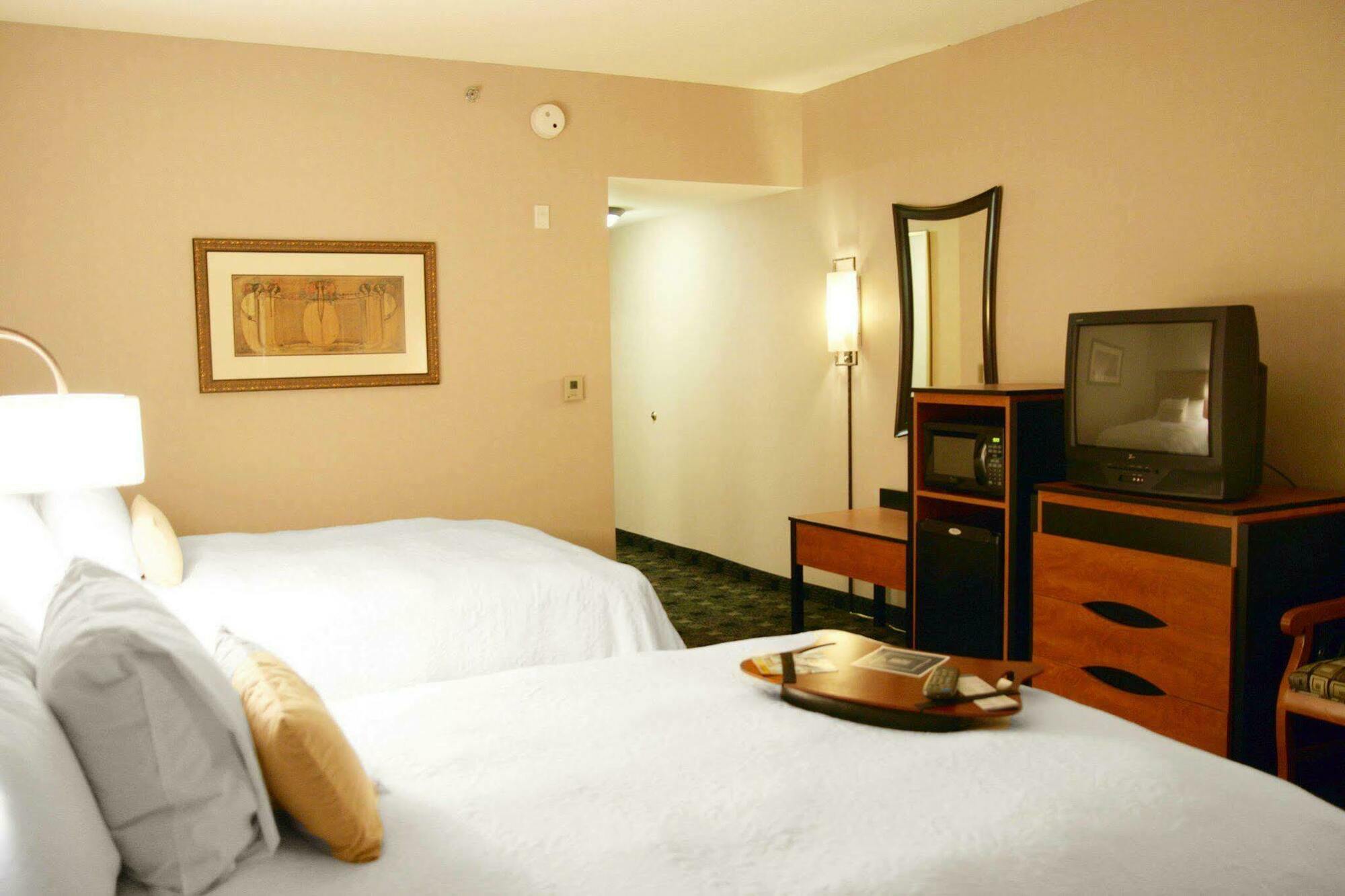 Hampton Inn And Suites Indianapolis-Fishers Værelse billede